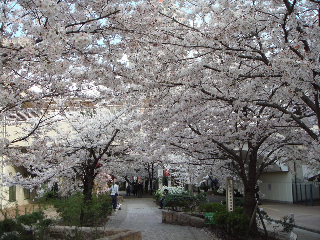 Hotel Wakamizu Takarazuka Zewnętrze zdjęcie